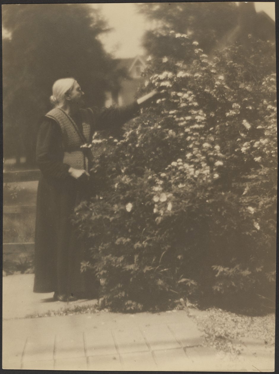 [Portræt af en kvinde, der plukker blomster] af Louis Fleckenstein