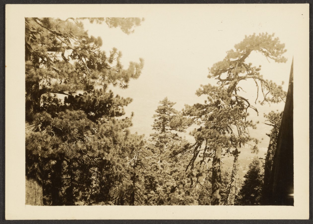 [Santa Rosa Peak] af Louis Fleckenstein