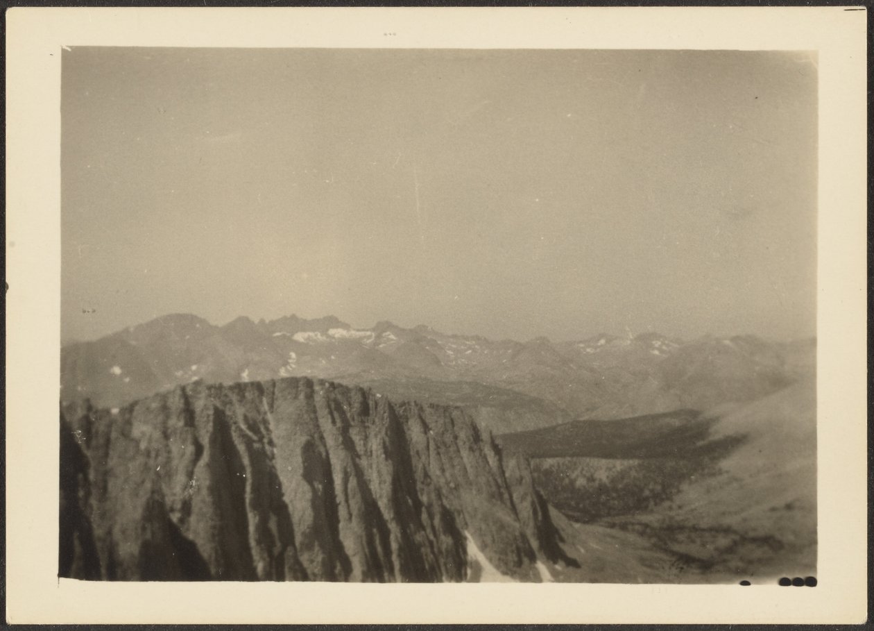 [Sequoia Park] af Louis Fleckenstein