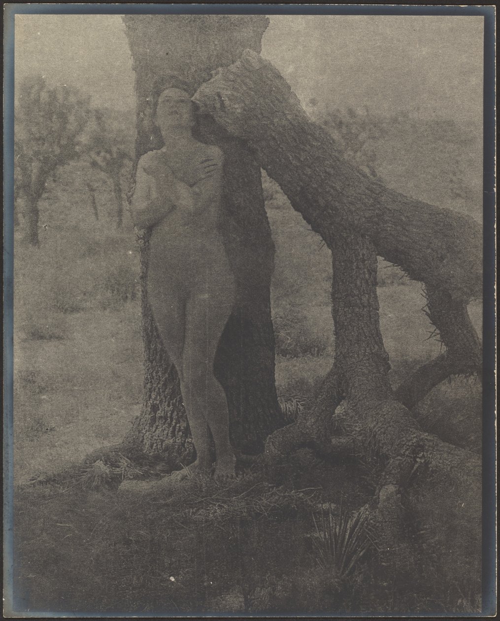 Joshua-ånden af Louis Fleckenstein