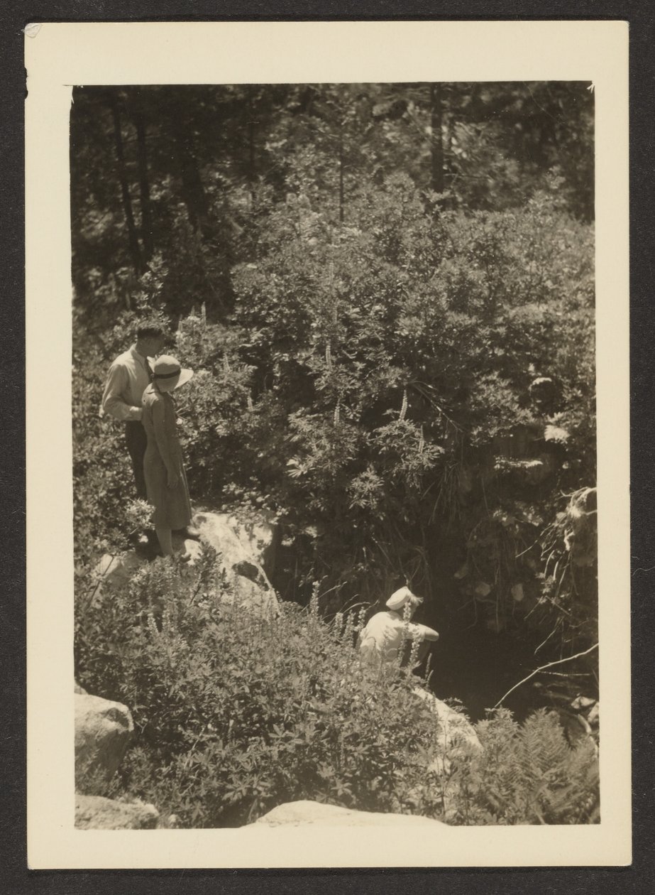 [Forår i Fern Valley] af Louis Fleckenstein