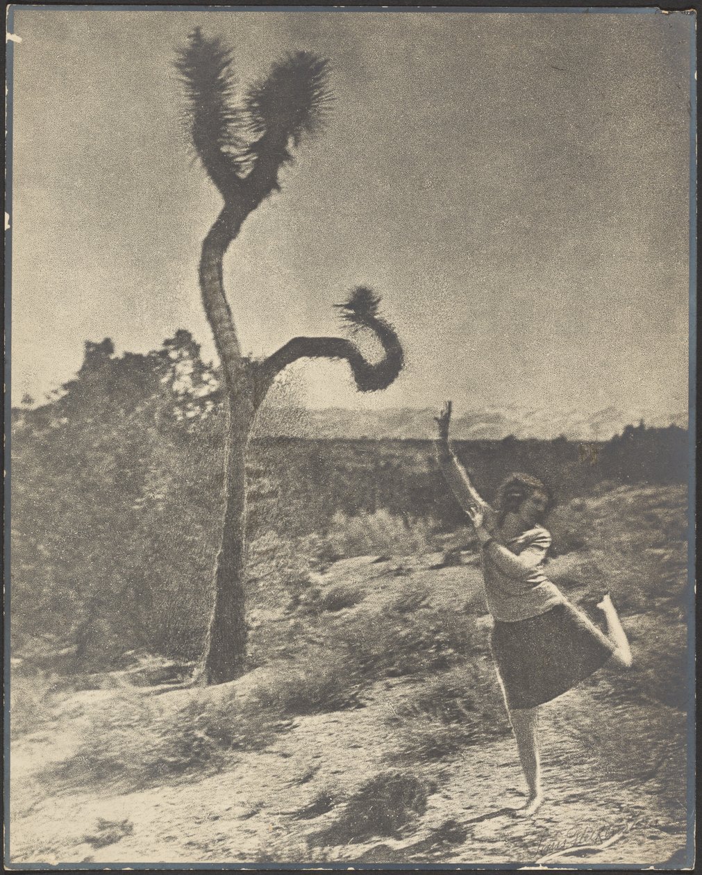 »Corkscrew Twist« af Louis Fleckenstein