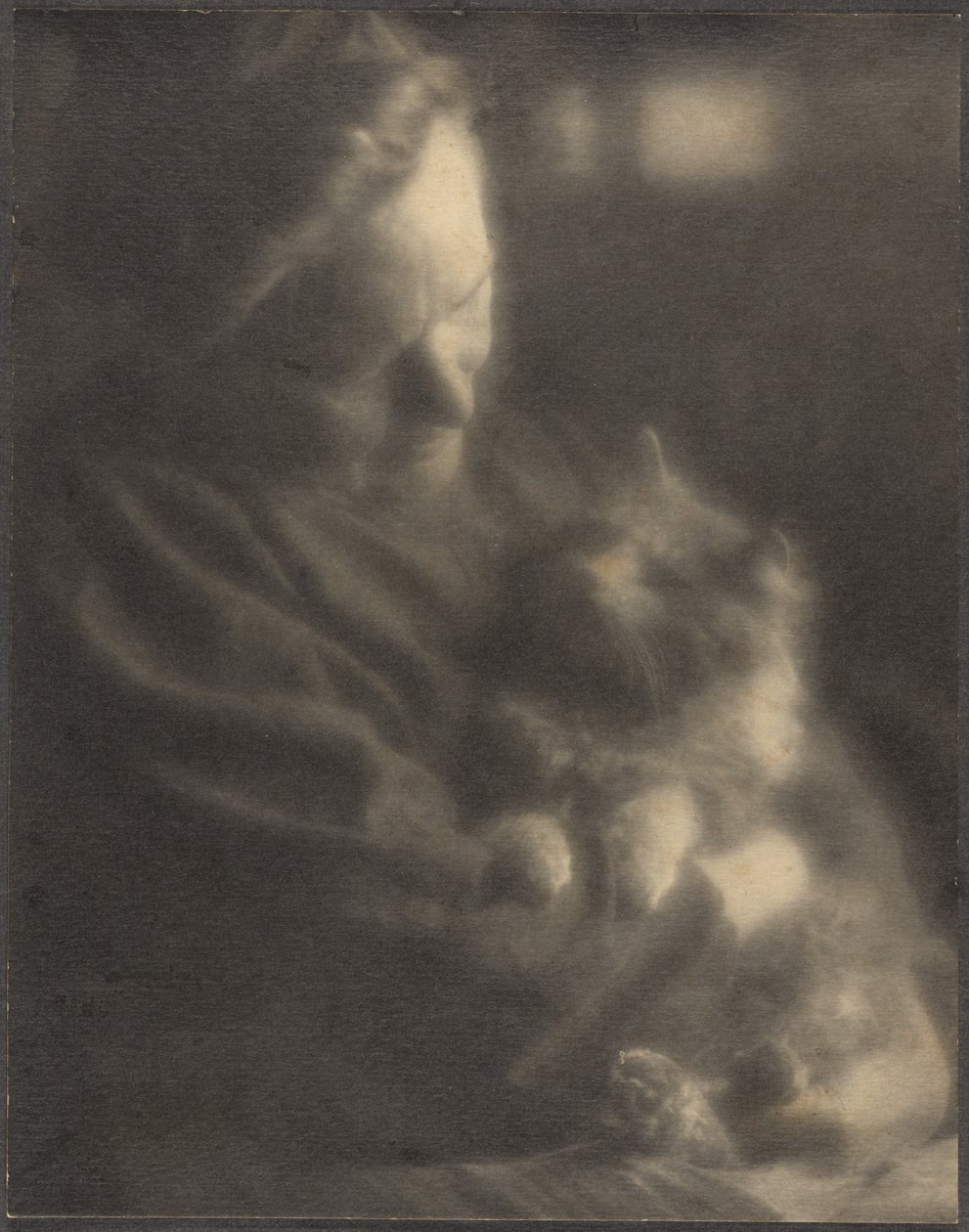 Kæledyr-angoraen af Louis Fleckenstein