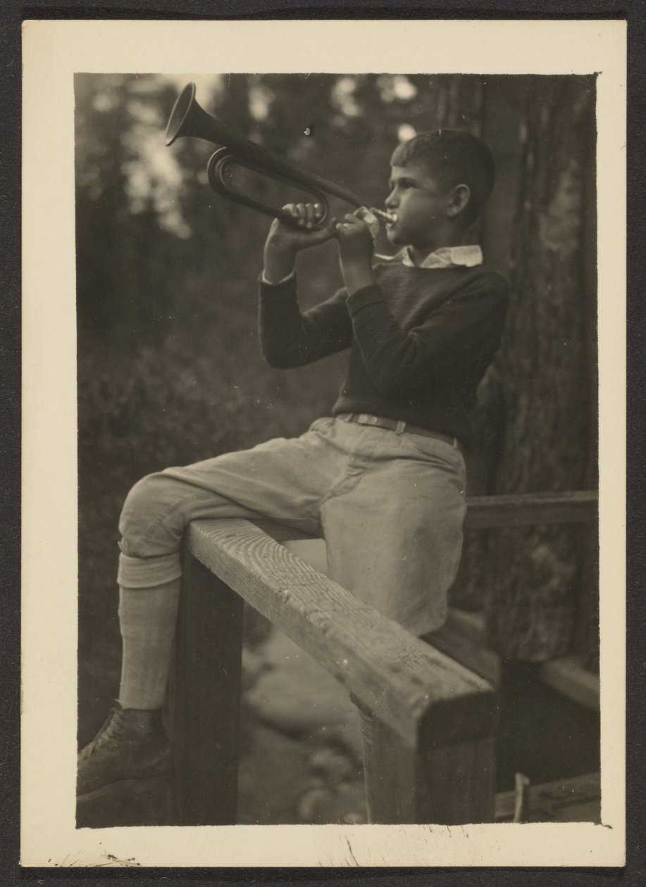 Tornnæb af Louis Fleckenstein