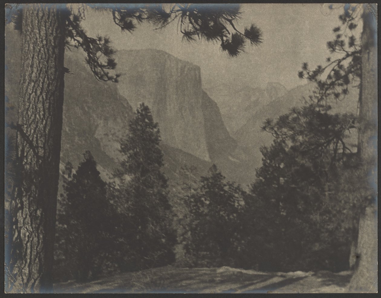 Yosemite, gennem fyrretræerne af Louis Fleckenstein