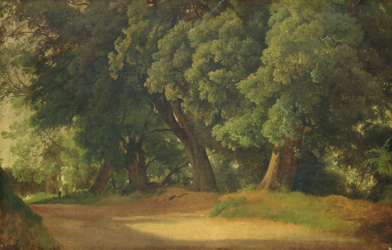 Egetræer i Holsten (olie på papir på træ) af Louis Gurlitt