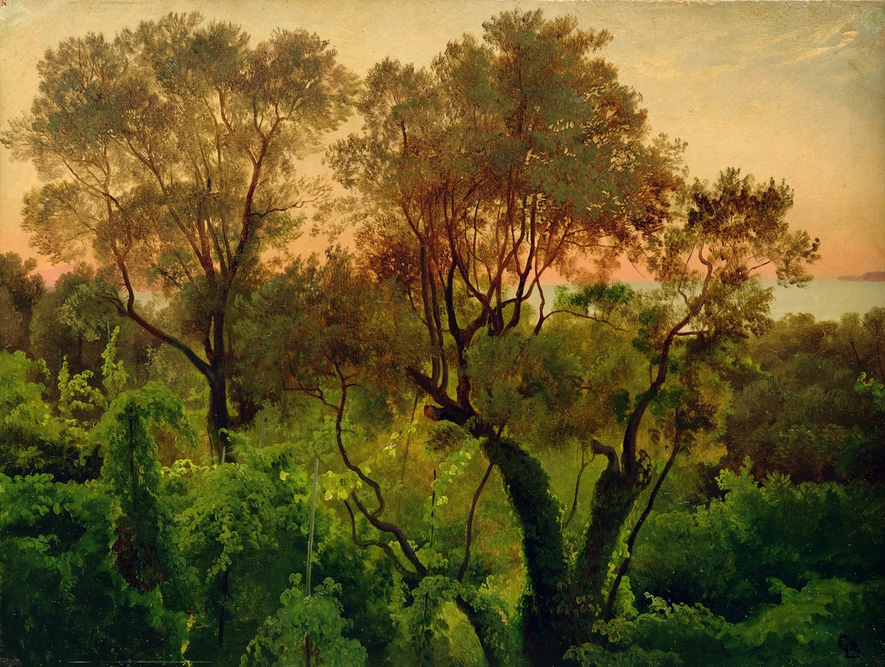 Skråning med oliventræer af Louis Gurlitt