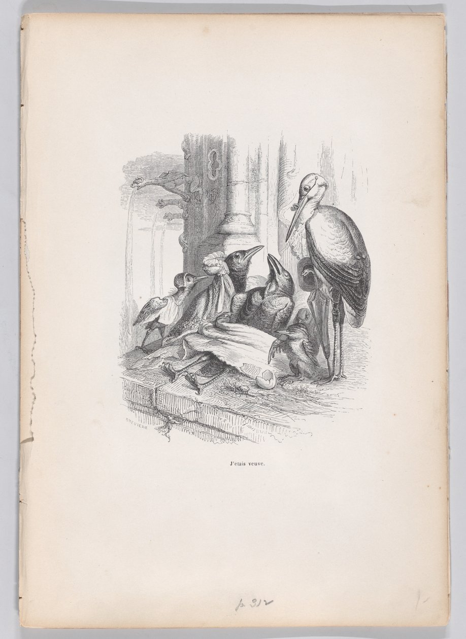 Jeg var enke fra Scener fra Dyrenes private og offentlige liv, ca. 1837-47. af Louis Henri Brévière