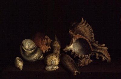 Still Life of Shells on a Ledge, 1600-tallet af Louis Hubner