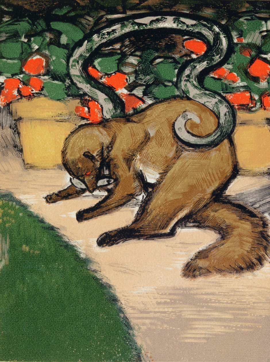 Rikki-Tikki-Tavi, illustration fra 