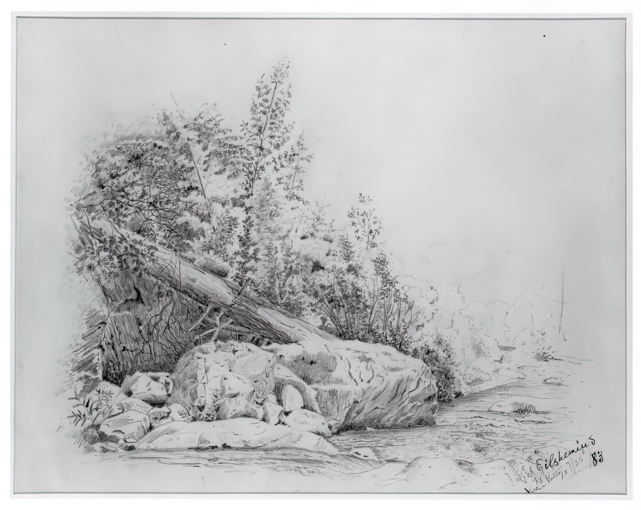 Faldet træ, Keene Valley, 25. juli 1883. af Louis Michel Eilshemius