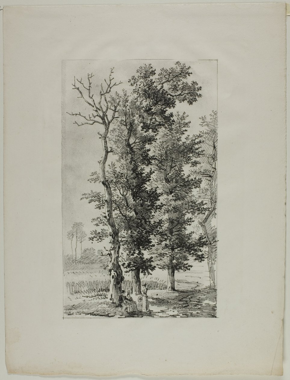 Undersøgelse af træer af Louis Pierre Baltard