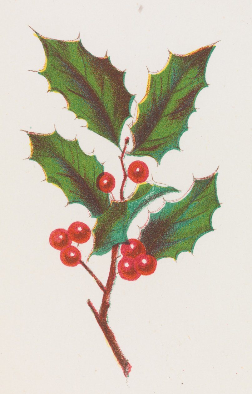Holly, 1862. af Louis Prang