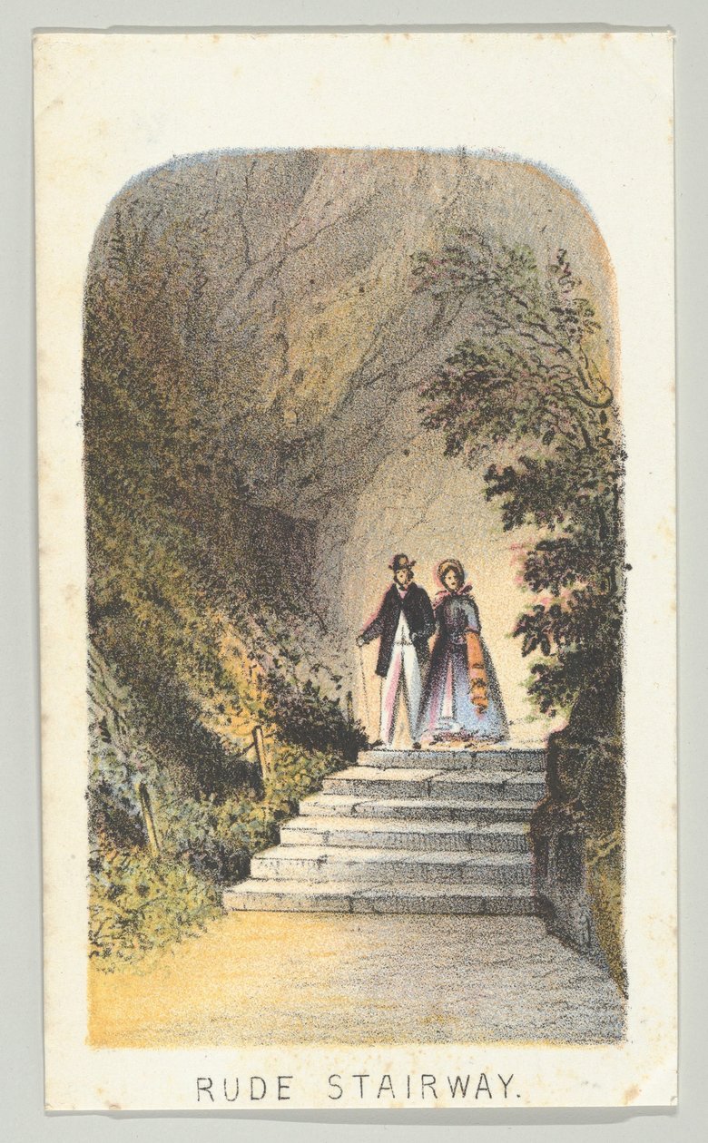 Rude Stairway, fra serien, Views in Central Park, New York, del 2, 1864. af Louis Prang