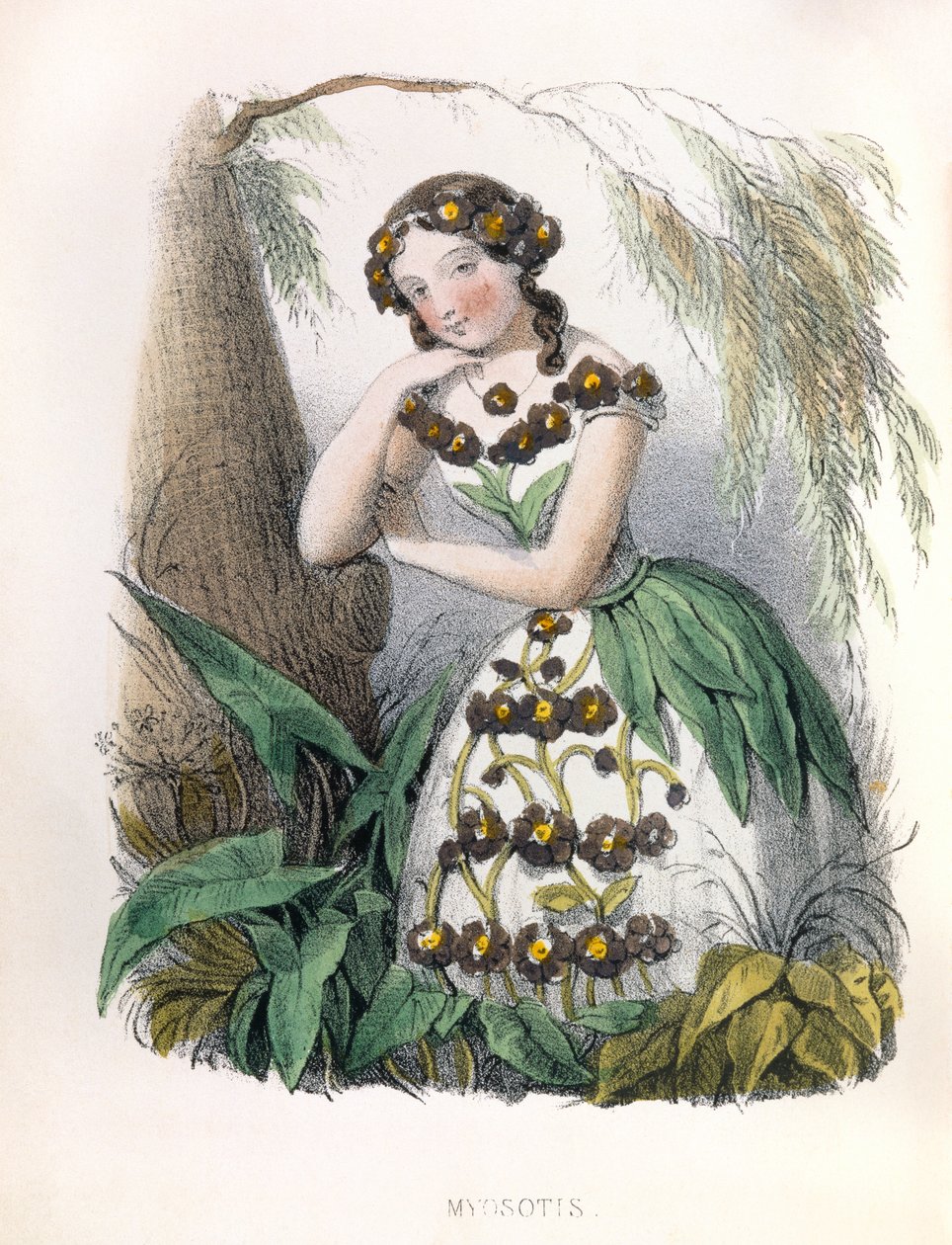  af Louis Simon (1810-1870) Lassalle