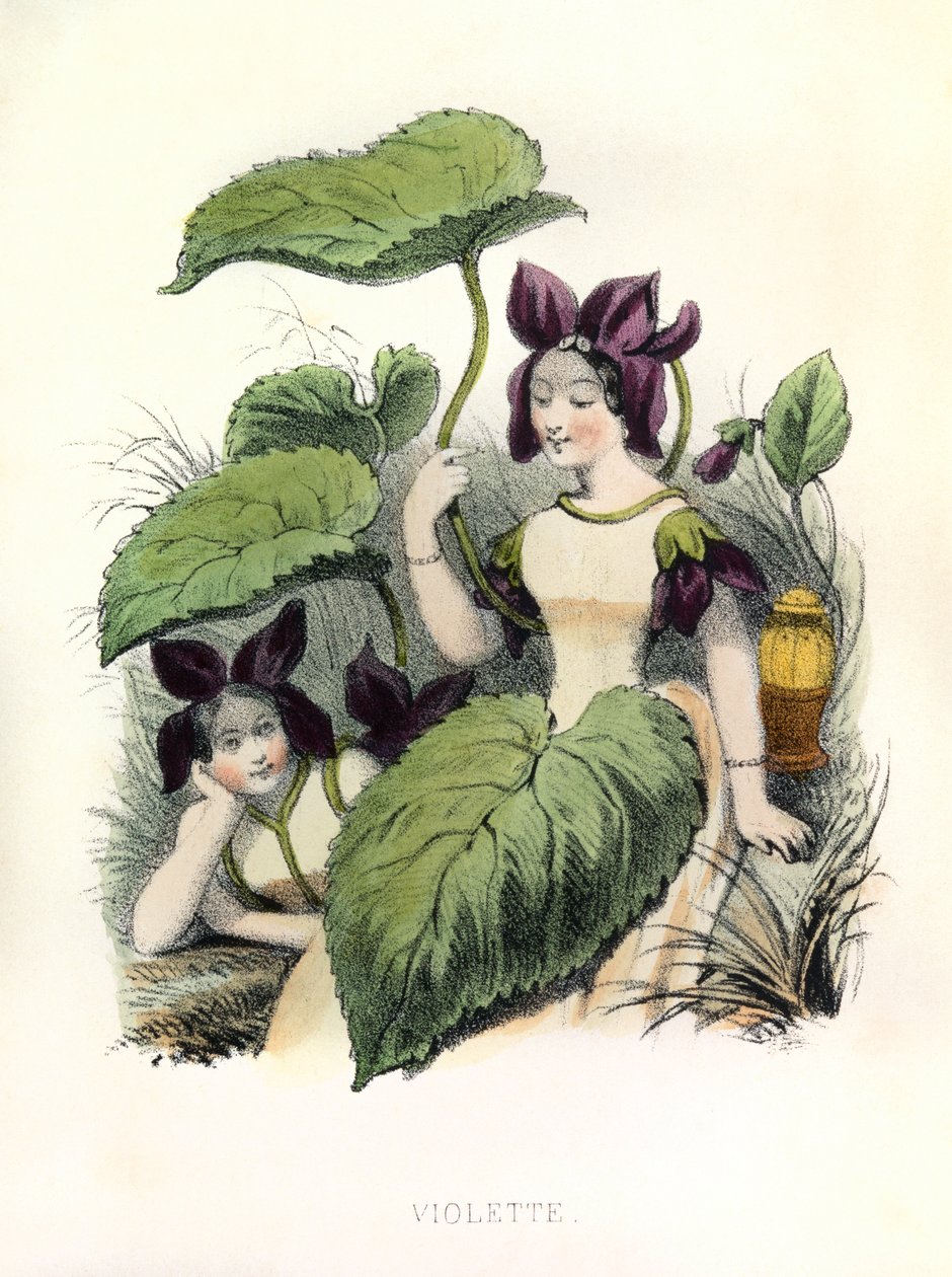  af Louis Simon (1810-1870) Lassalle