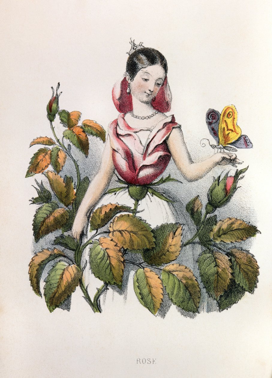  af Louis Simon (1810-1870) Lassalle