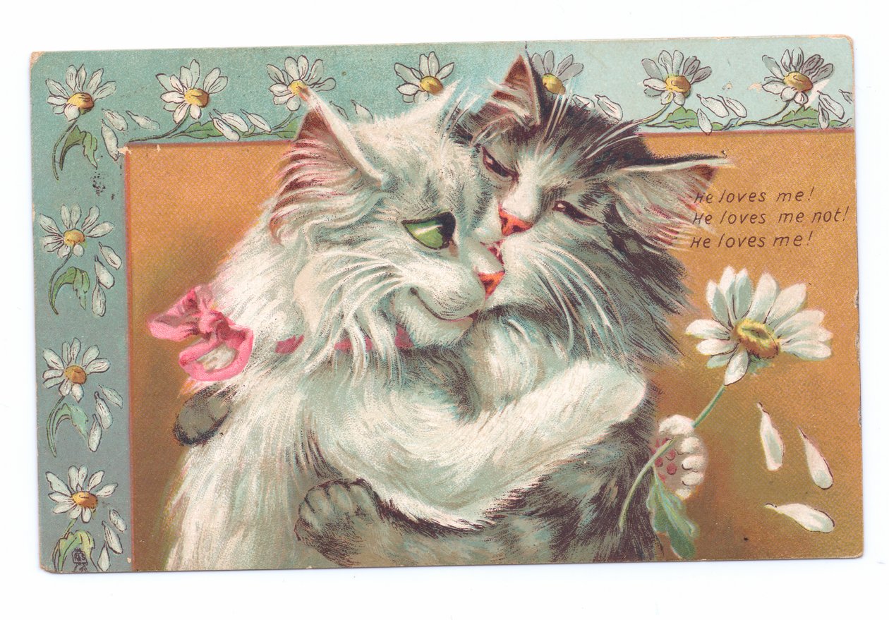 Edwardiansk postkort med to katte, der krammer hinanden, ca. 1910 af Louis Wain