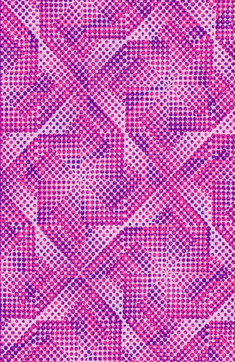 Dotty (digital) af Louisa Hereford