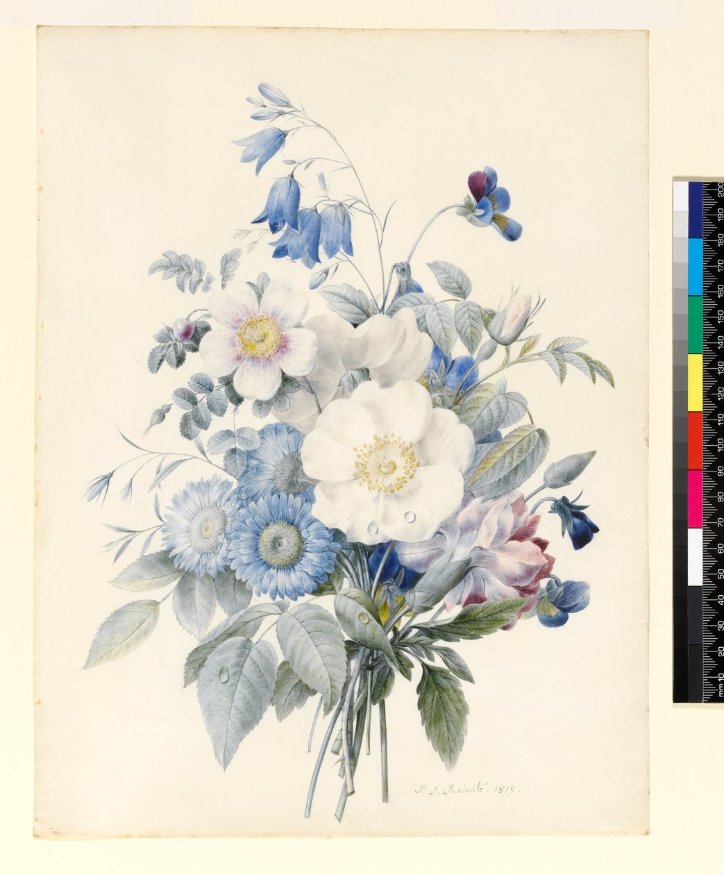 PD.847-1973 A Spray of Summer Flowers, 1820 (wc og gouache på vellum) af Louise DOrleans