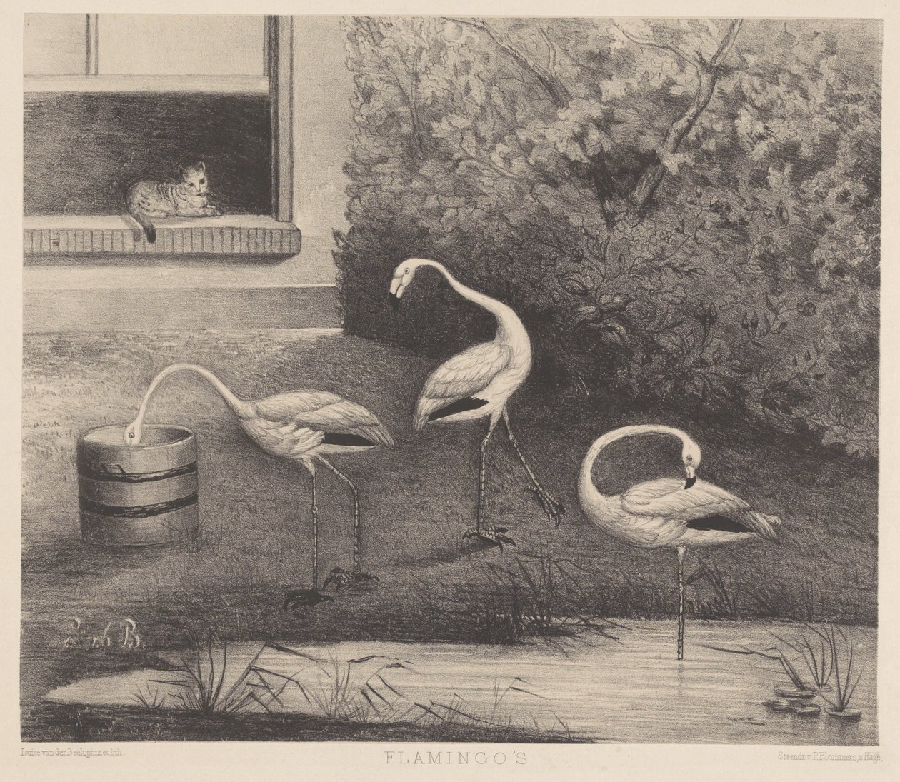 Tre flamingoer og en kat af Louise Marie Françoise van der Beek