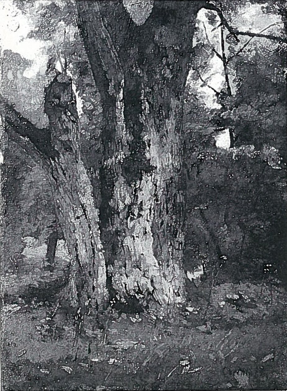 Aweiderpark i Konigsbergn af Lovis Corinth