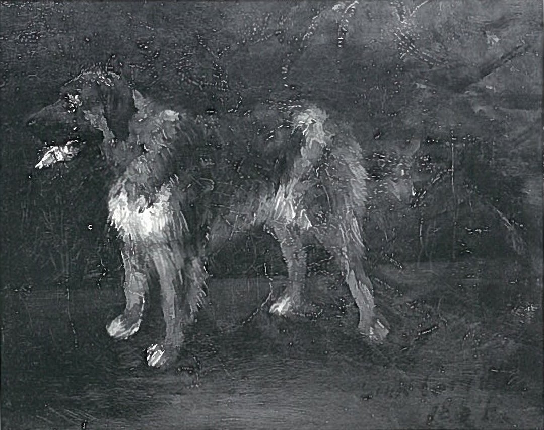 Hundestudier af Lovis Corinth