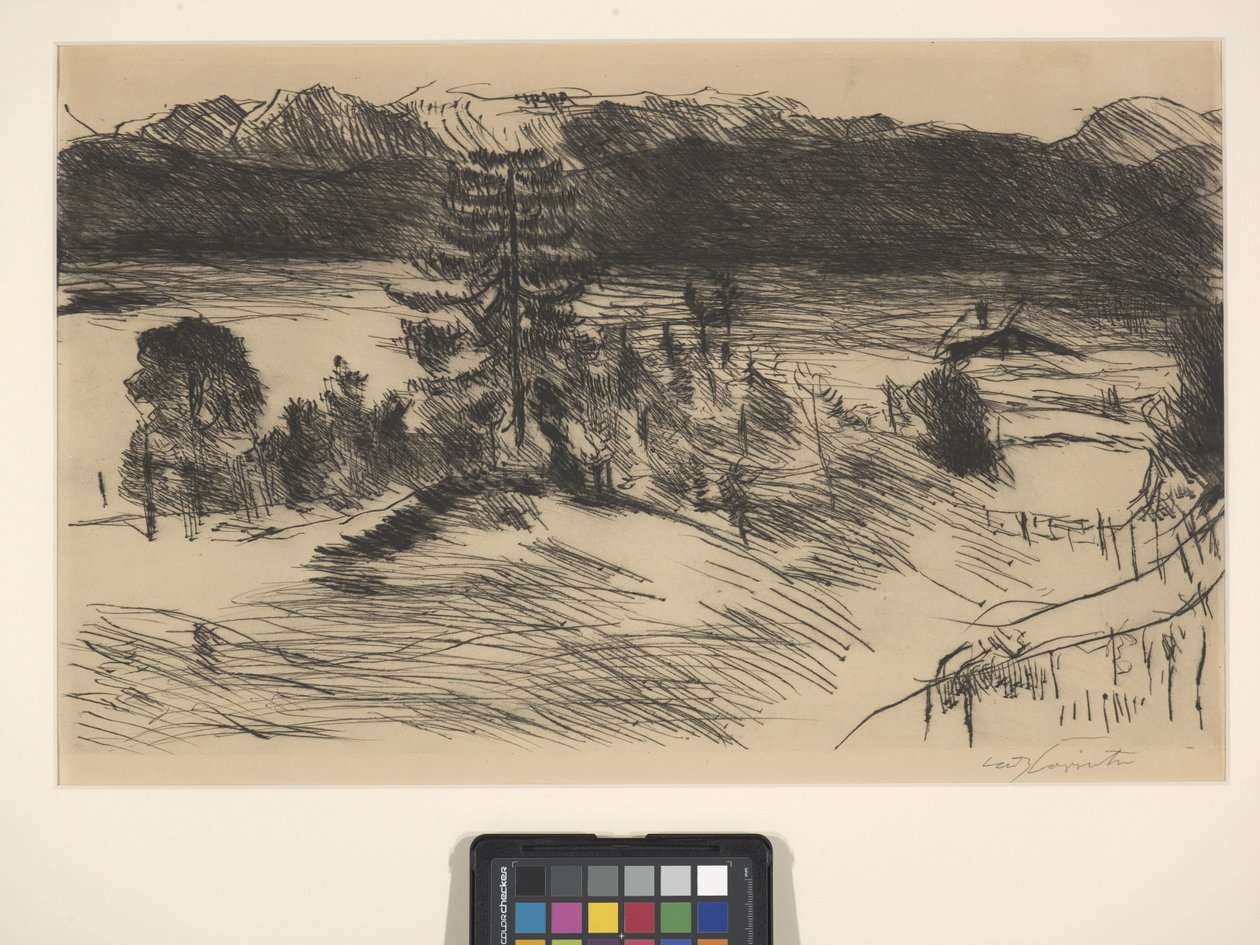 Stor Walchenzee (ætsning og tørnål) af Lovis (1858 1925) Corinth
