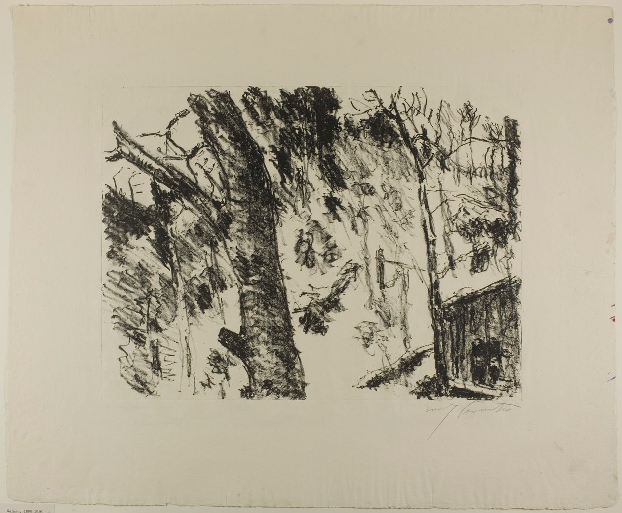 Beech Woods, fra det tidlige forår i bjergene af Lovis Corinth