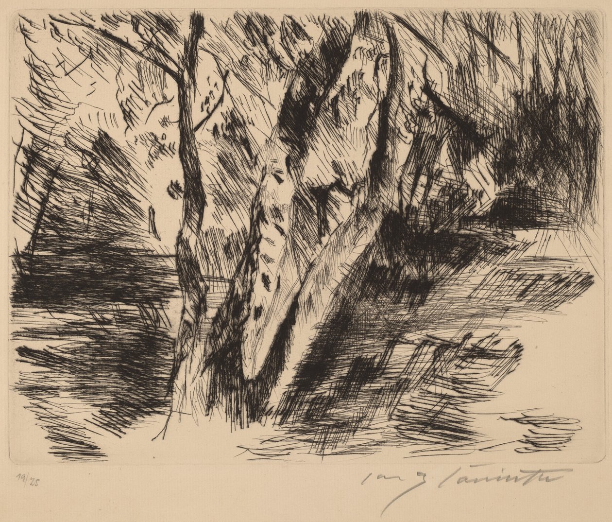 Birketræer i Tiergarten, 1920-1921. af Lovis Corinth