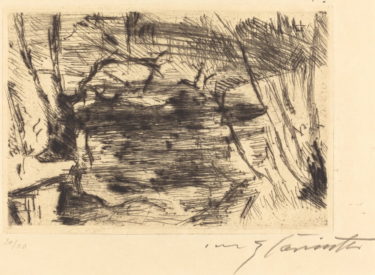 Der Neue See The New Lake, 19201921. af Lovis Corinth