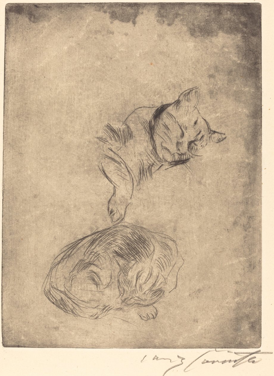 Katzenstudie Studie af katte, 1920. af Lovis Corinth