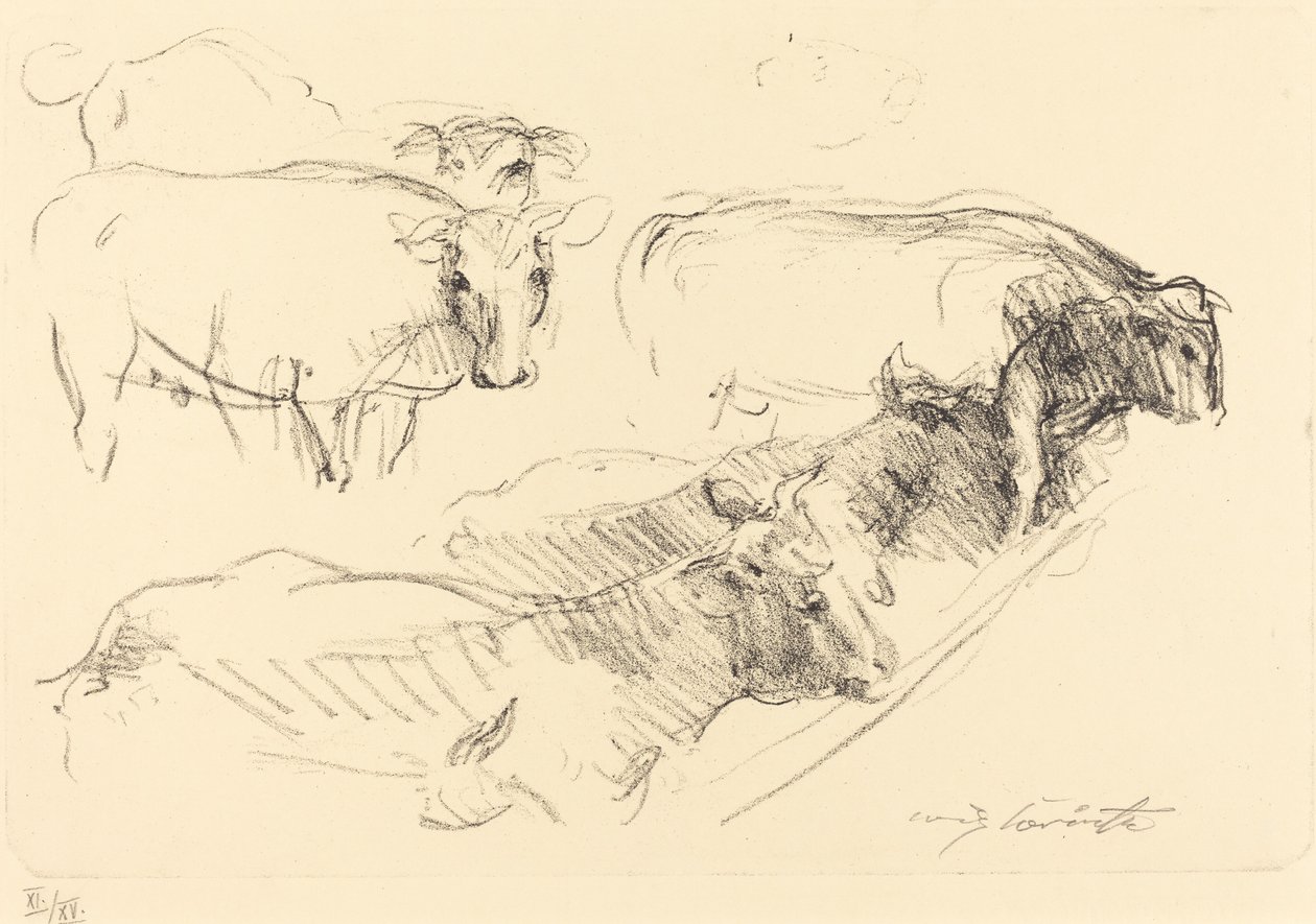 Køer Køer, 1910. af Lovis Corinth