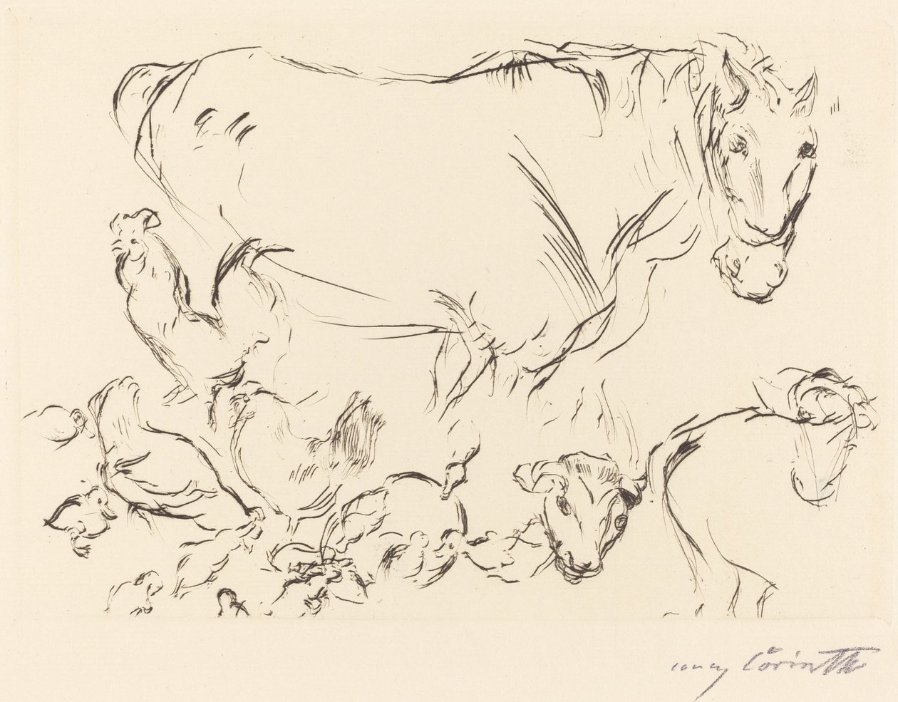 Forskellige dyreforsøg af Lovis Corinth
