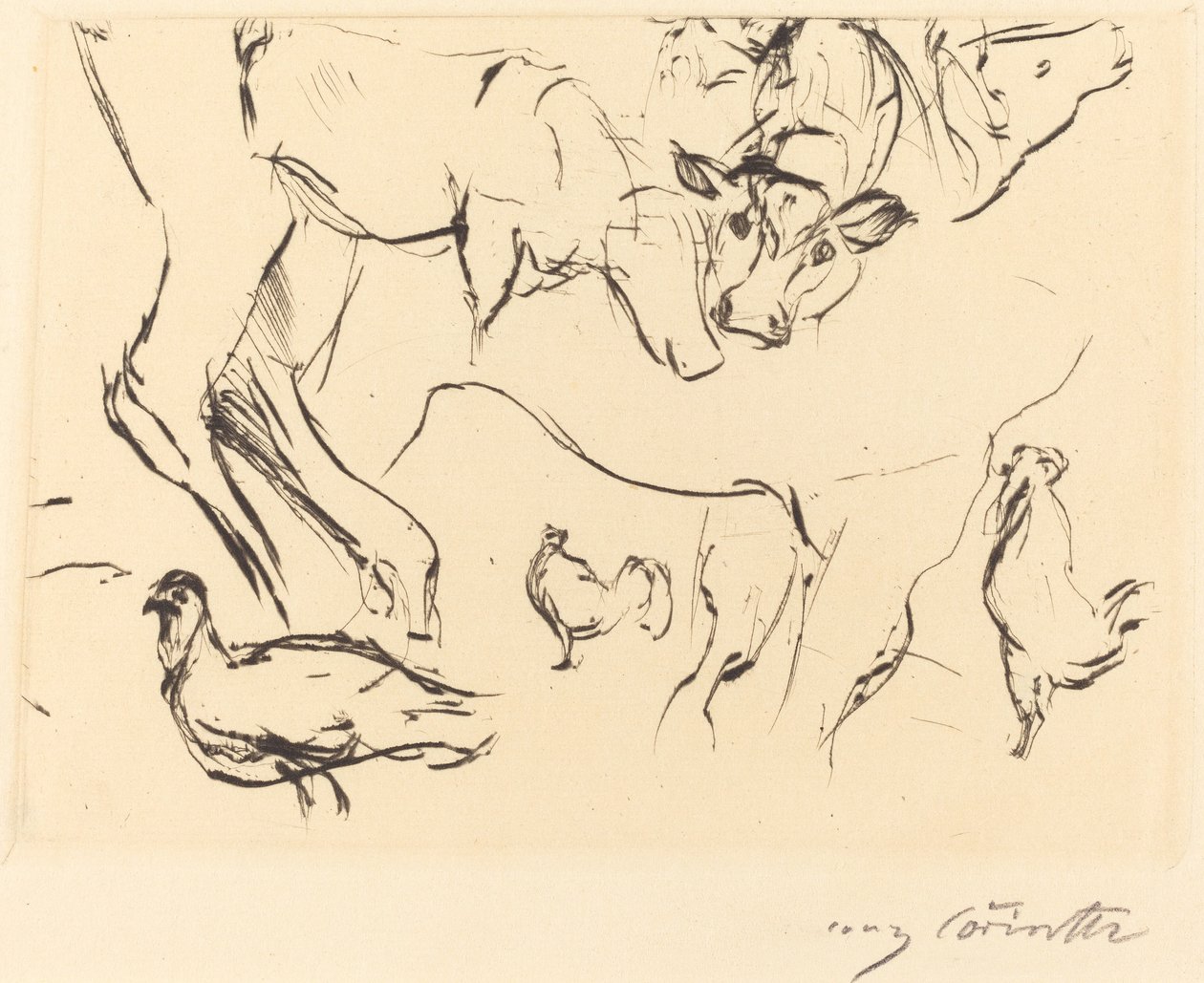 Forskellige dyreforsøg af Lovis Corinth