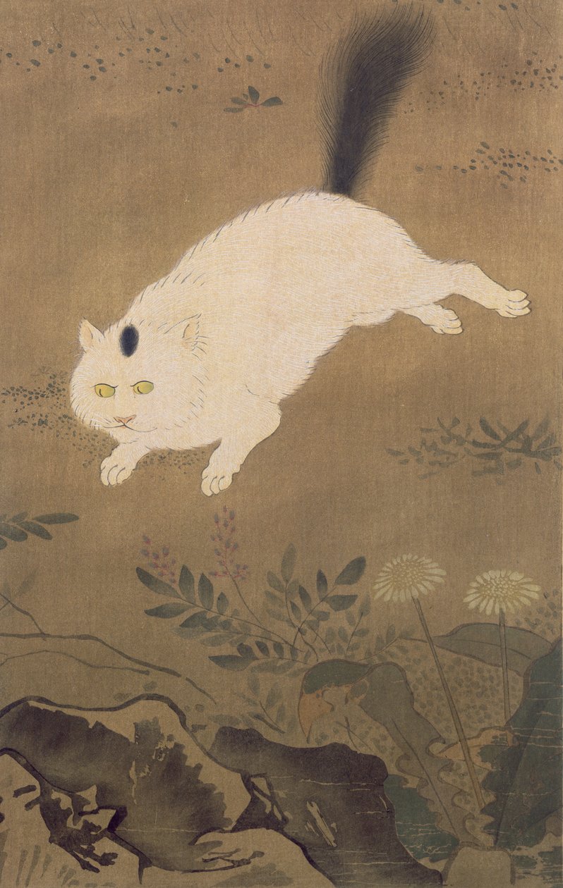 A White Cat, illustration fra The Kokka magazine, udgivet i Japan, 1896-7 af Lu Ji