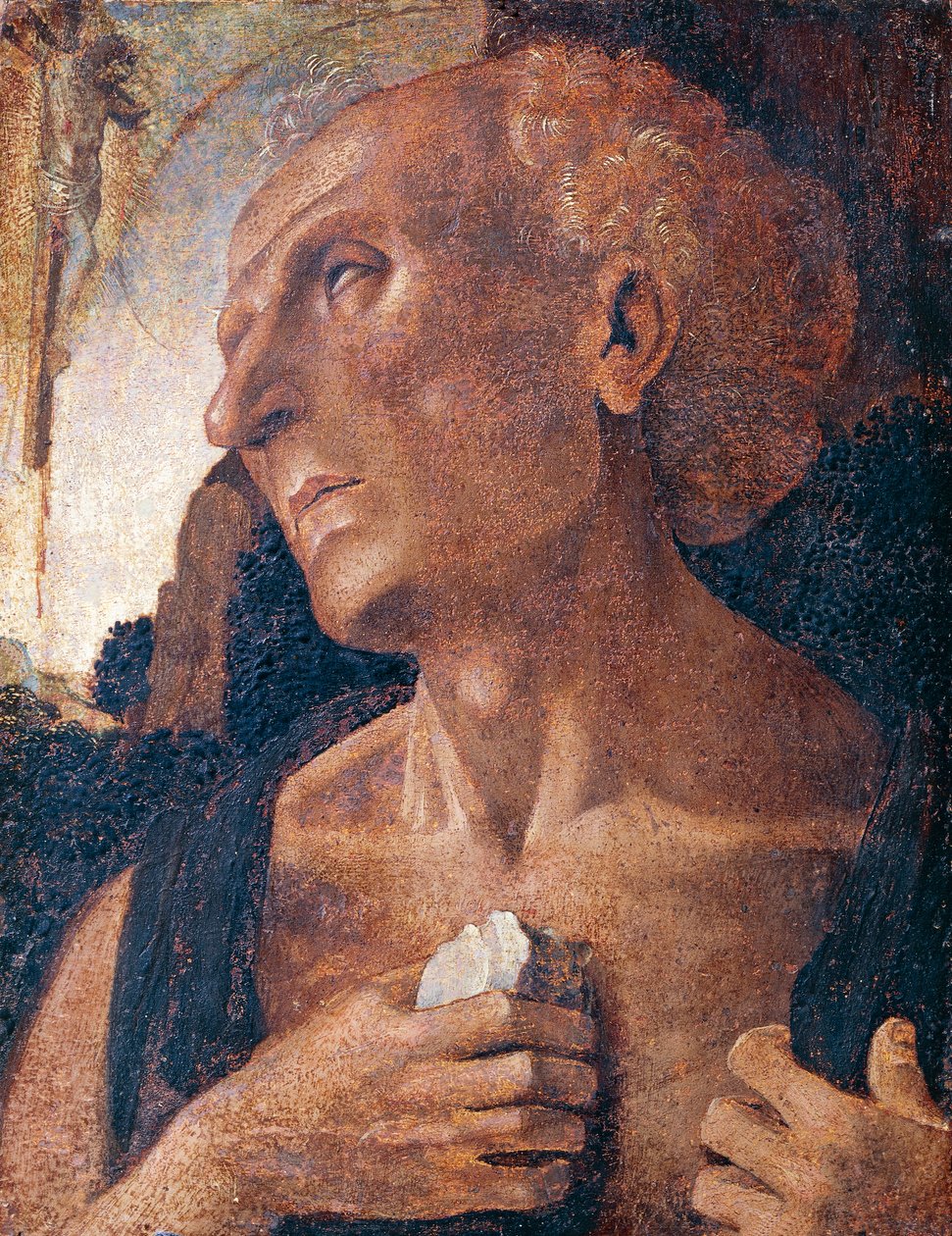 St. Jerome, tilskrevet Luca Signorelli (ca. 1441 eller 1450-1523) af Luca (attr.to) Signorelli