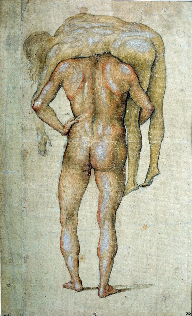 En mand iført krop Tegning af Luca Signorelli (1441-1523) Paris fra det 15. århundrede, Louvre-museet af Luca Signorelli