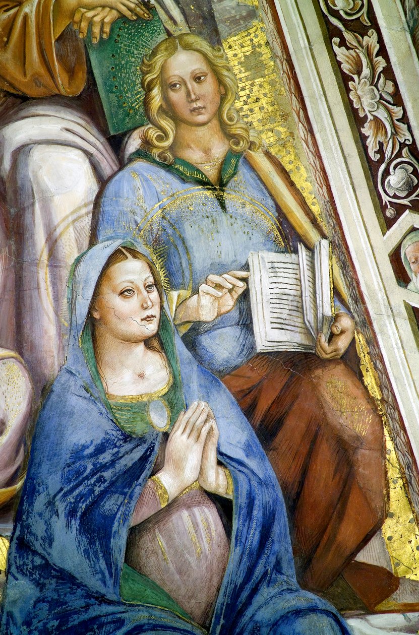 Apostle, detalje af Jomfru af Luca Signorelli