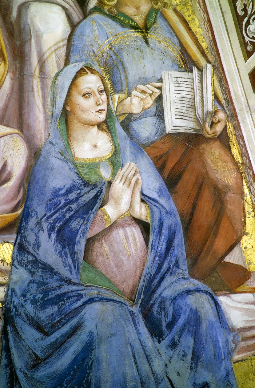 Apostle, detalje af Jomfru af Luca Signorelli