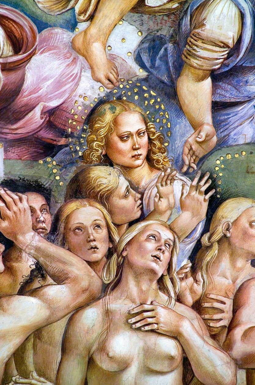 Elect, fra Last Judgment fresko-cyklus af Luca Signorelli