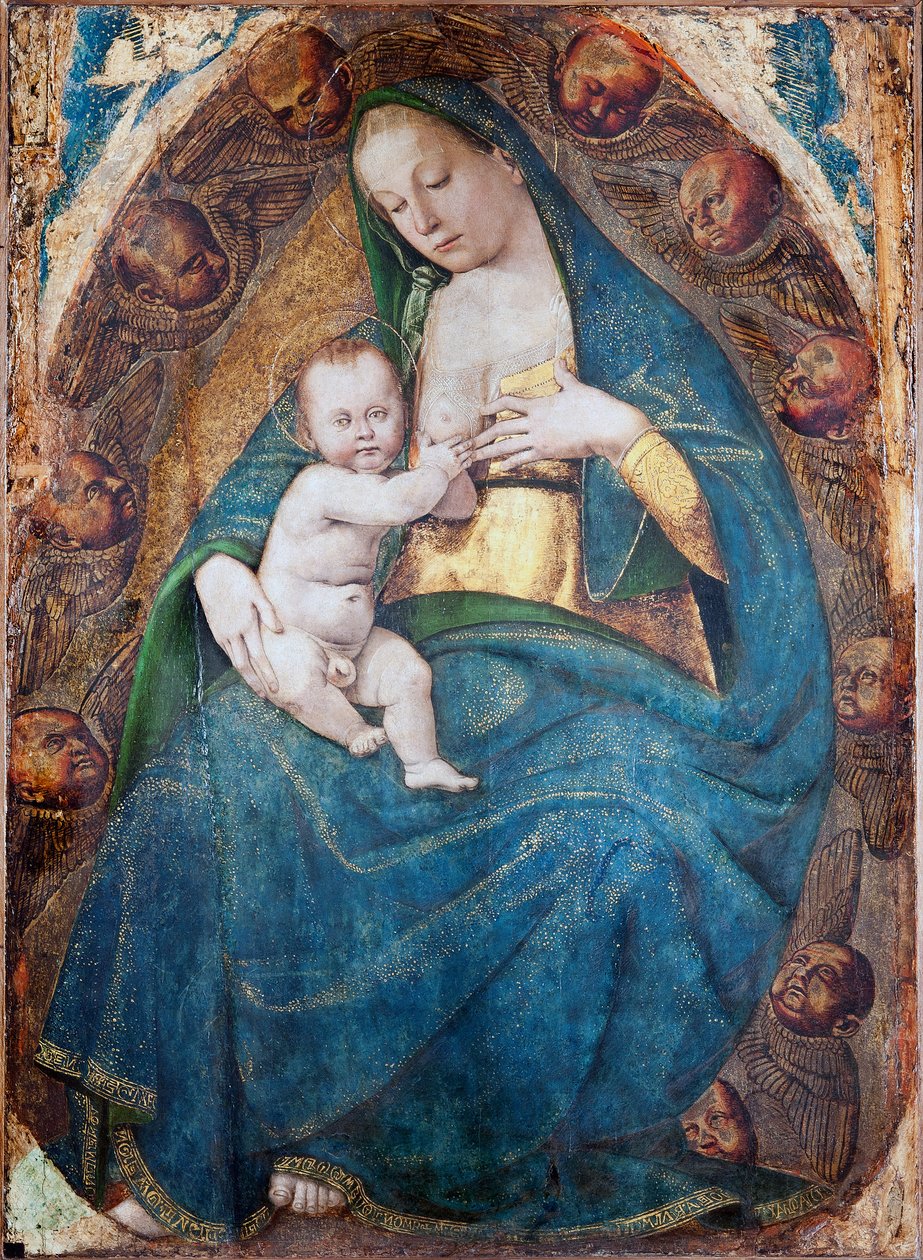 Sygeplejerske Madonna, 1482-c.1485 af Luca Signorelli