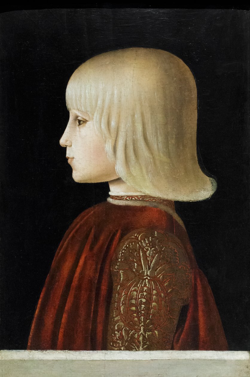 Portræt af en ung mand (Guidubaldo da Montefeltro), ca. 1478 (tempera på panel) af Luca Signorelli