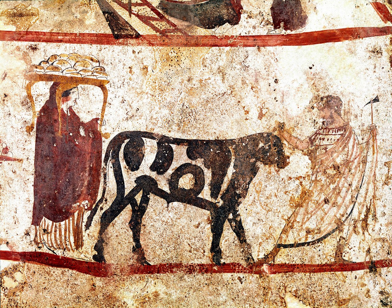 En tyr fører på alteret af offeret Lucanian fresco fra det 4. århundrede f.Kr., fra nekropolis Andriuolo i Paestum, Italien. Museo nazionale archeologico, Paestum af Lucanian School