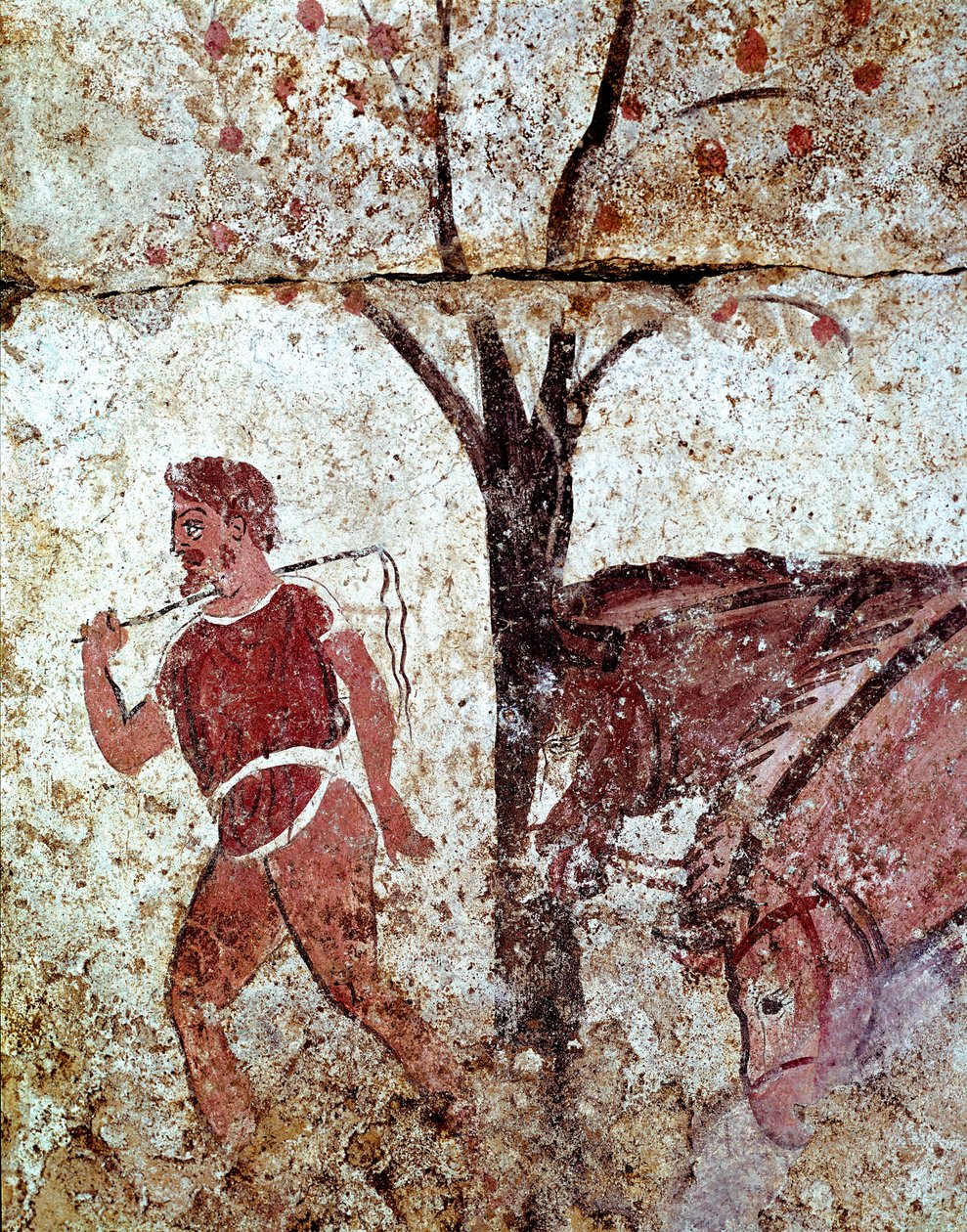 En bonde trækker to heste Lucanian fresco fra det 4. århundrede f.Kr., fra nekropolis i Paestum, Italien. Museo nazionale archeologico, Paestum af Lucanian School