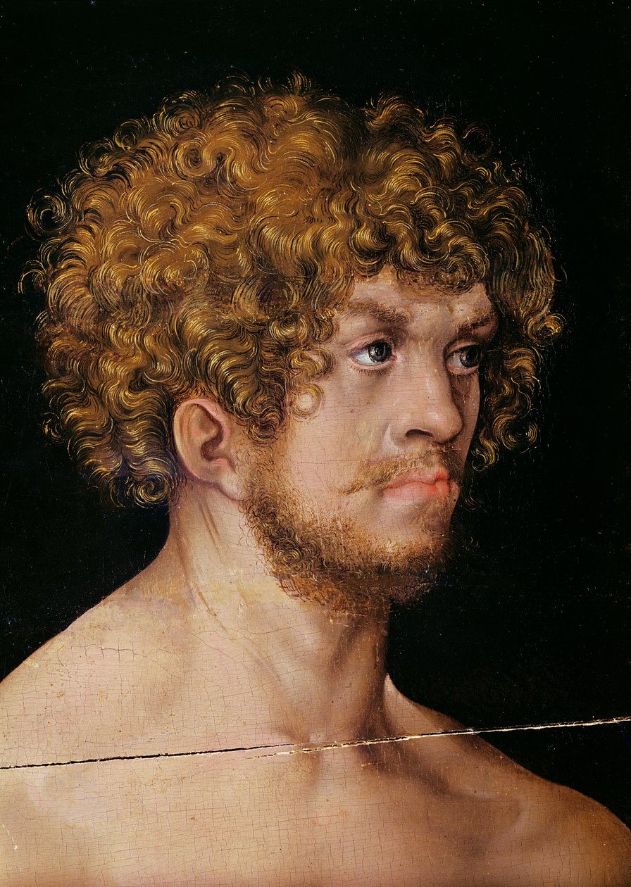 Adam og Eva, detalje af Adams hoved (detalje af 159264) af Lucas Cranach the Elder