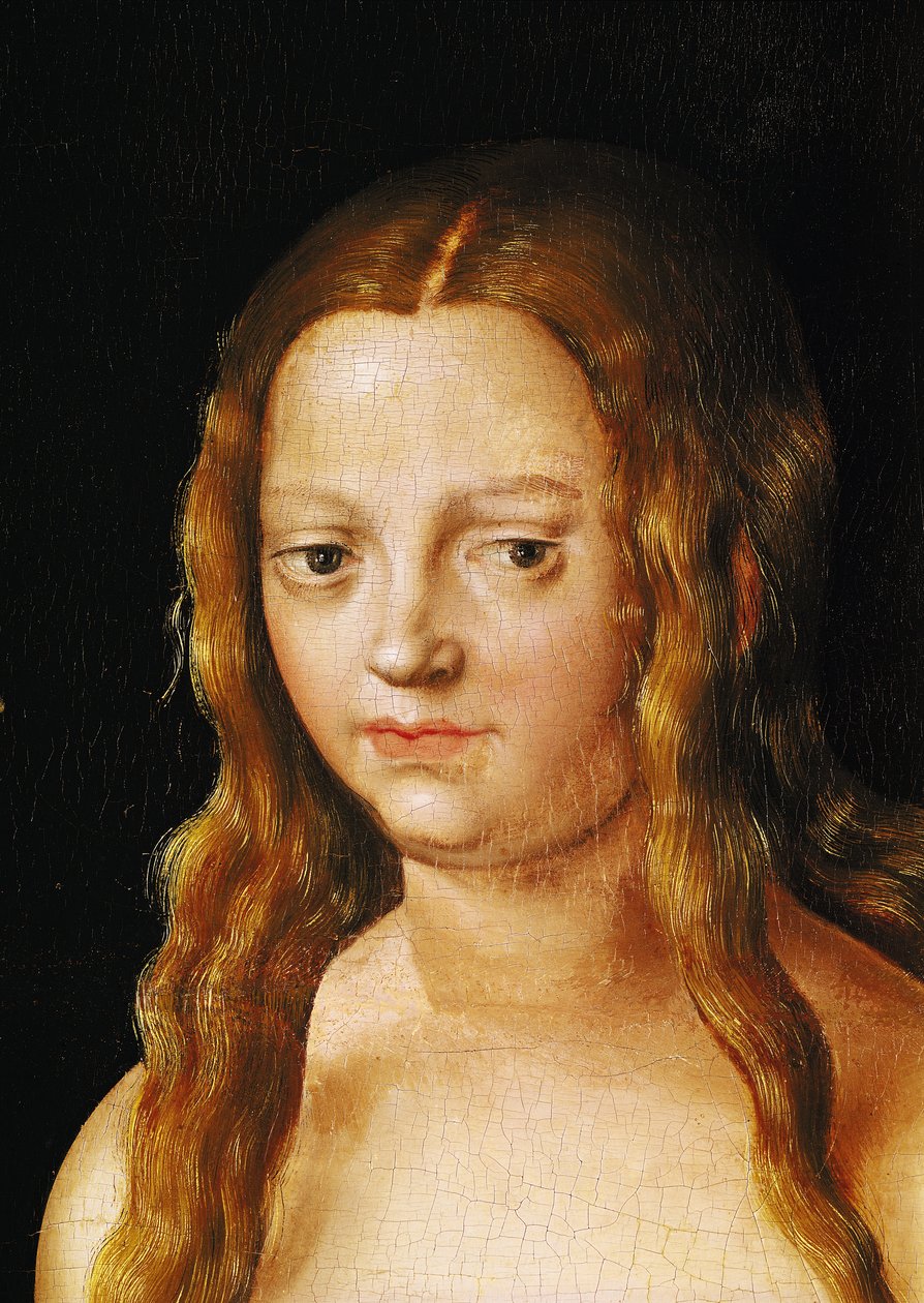 Adam og Eva, detalje af Evas hoved (detaljer fra 159264) af Lucas Cranach the Elder