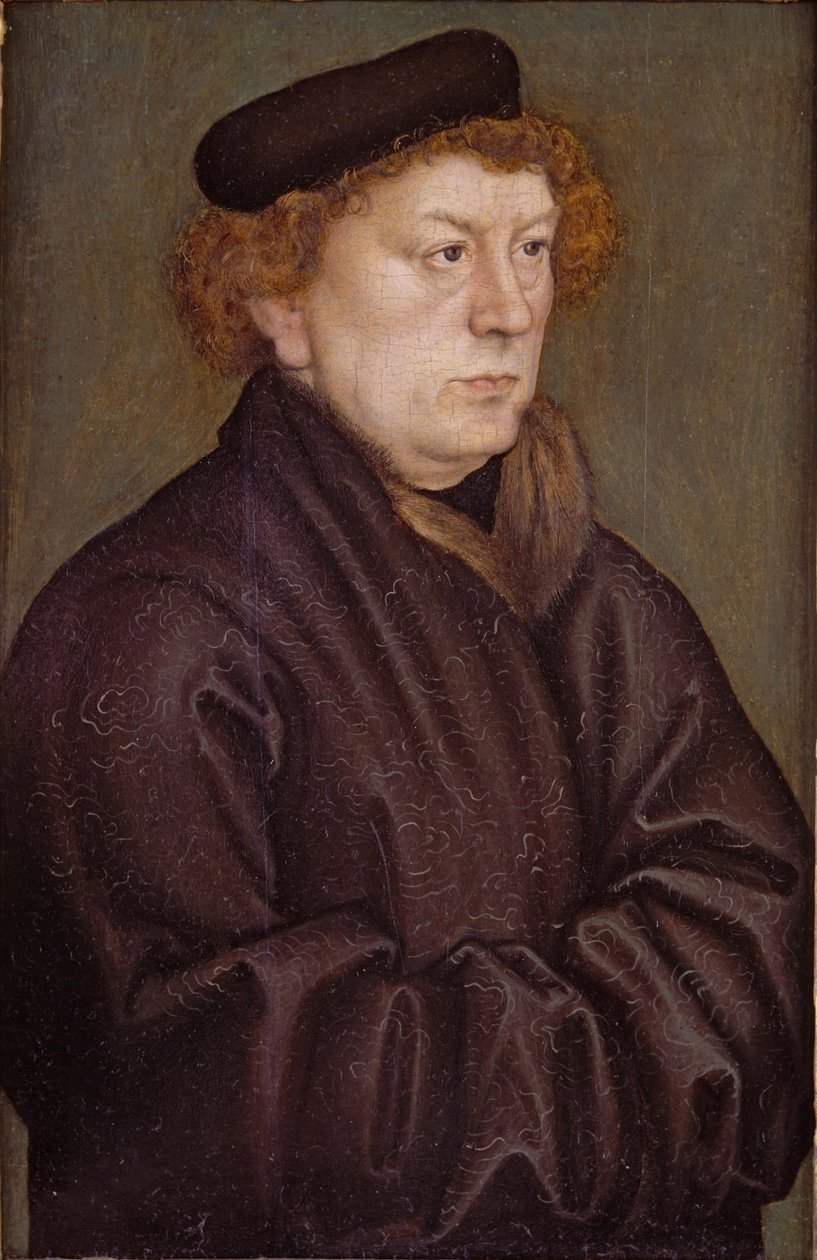 Portræt af en lærd af Lucas Cranach the Elder