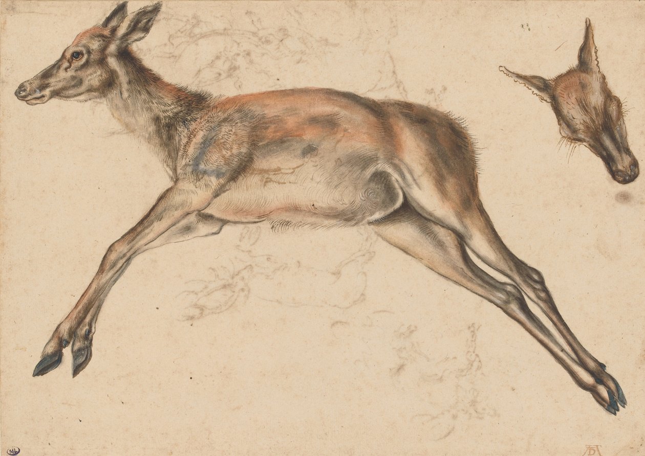 Død bag, de fire lemmer forlænget, og hindrer hovedet af Lucas Cranach the Elder