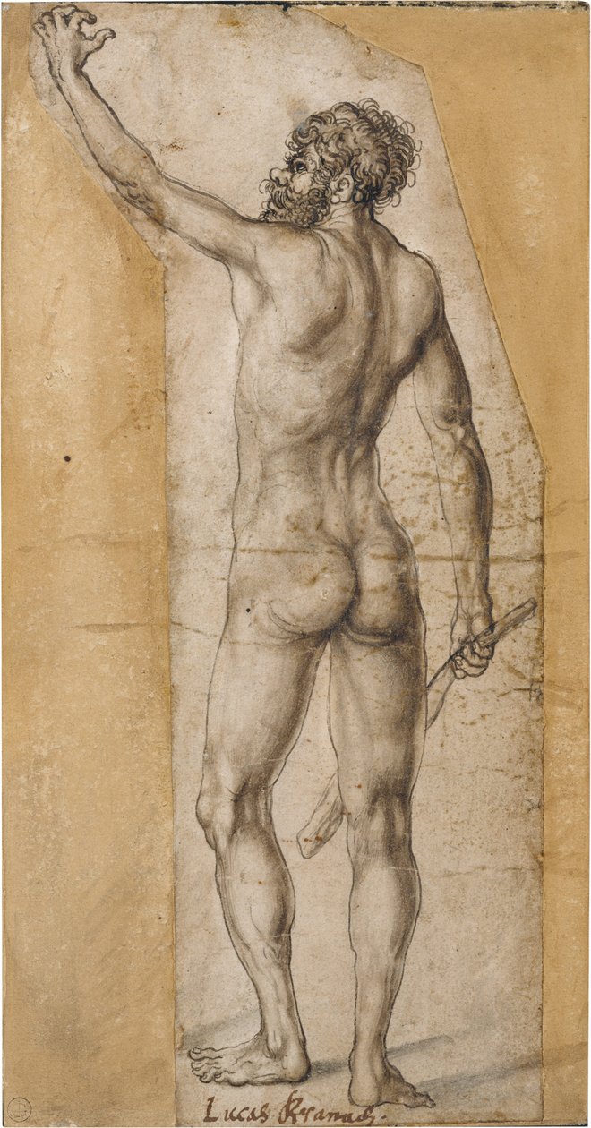 Tilbage handling af en stående mand af Lucas Cranach the Elder